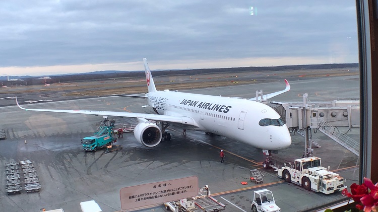 JAL359